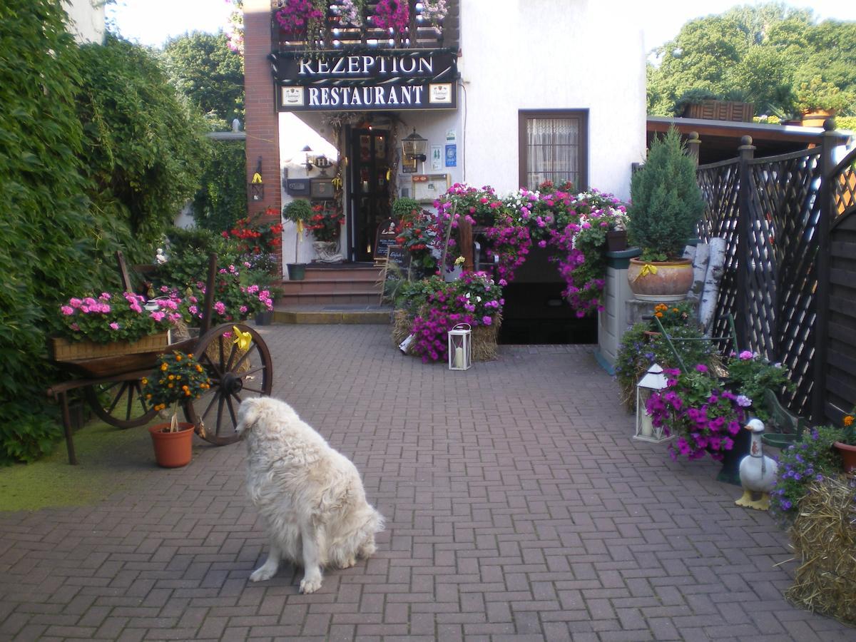Hotel Am Berg Spremberg Bagian luar foto